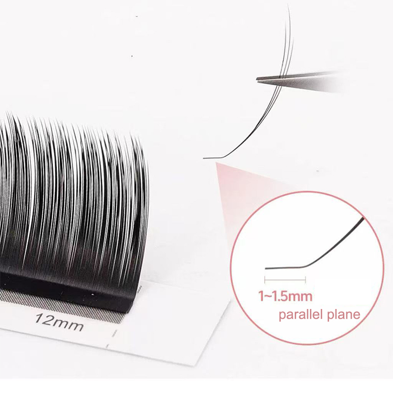 Dream Ballet Camellia Lashes m - Eyelash Extension Review recensie en prijs