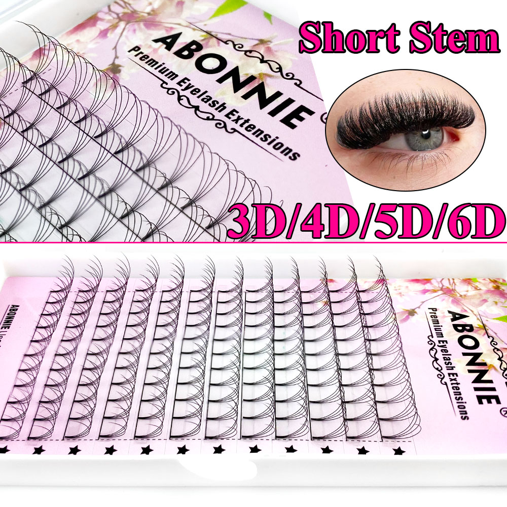 Abonnie 6D Narrow Fan Premade  - Eyelash Extension Review recensie en prijs